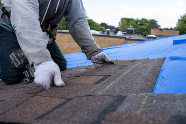 Best Emergency Roof Repair  in Jacksonwald, PA